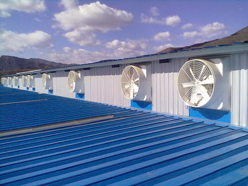 鐵皮廠房降溫這幾種解決方案你知道嗎？