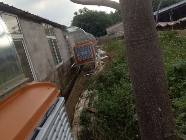 通風降溫工程用潤東方節(jié)能環(huán)?？照{(diào)設(shè)備就對了