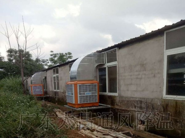 飼養(yǎng)廠|養(yǎng)豬場環(huán)保空調(diào)通風降溫案例